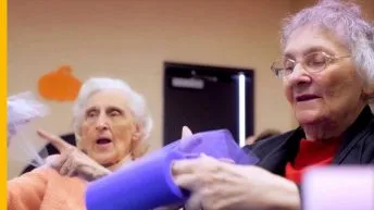 Upgraded Park Cherry Blossoms in Winter Teaser