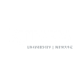 Partner - Rutgers University-Newark Website